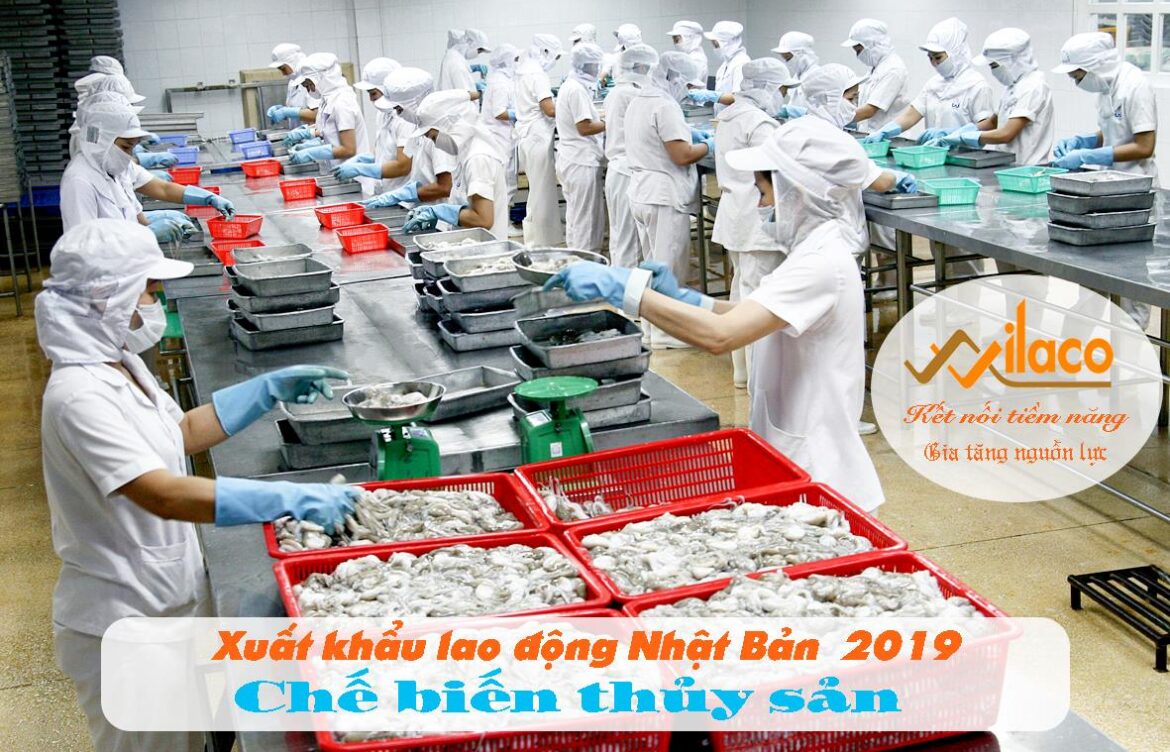 THÔNG BÁO ĐƠN HÀNG CHẾ BIẾN THỦY SẢN 07/05/2019