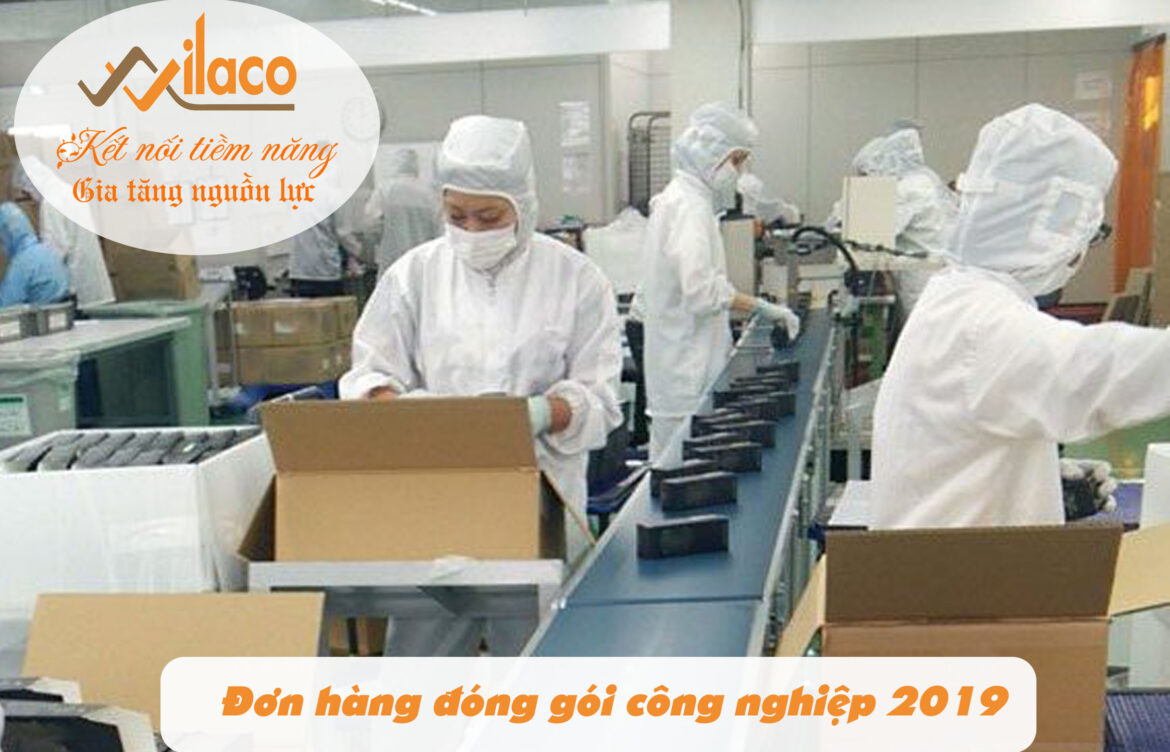 THÔNG BÁO ĐƠN HÀNG ĐÓNG GÓI CÔNG NGHIỆP NGÀY 22/08/2019